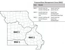 Bear Management Zones